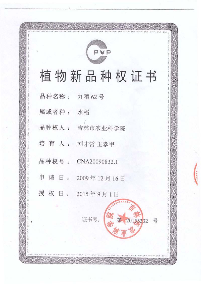 九稻62新品售权书.jpg