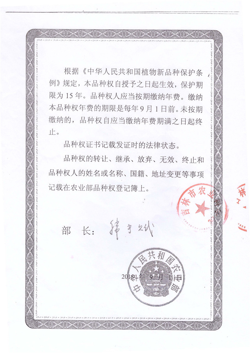 品种保护权证.jpg